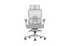 Picture of FLEXO Pro Height Adjustable Mesh Office Chair with Adjustable Headrest & Backrest, 5D Armrests and Seat Slider (Grey)