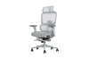Picture of FLEXO Pro Height Adjustable Mesh Office Chair with Adjustable Headrest & Backrest, 5D Armrests and Seat Slider (Grey)