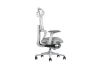 Picture of FLEXO Pro Height Adjustable Mesh Office Chair with Adjustable Headrest & Backrest, 5D Armrests and Seat Slider (Grey)