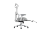 Picture of FLEXO Pro Height Adjustable Mesh Office Chair with Adjustable Headrest & Backrest, 5D Armrests and Seat Slider (Grey)