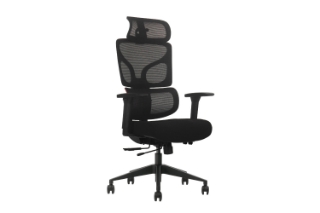Picture of NEXEN High Back Office Chair