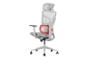 Picture of NEXEN Pro High Back Office Chair with Adjustable Headrest & Backrest, Lumbar Support, 3D Armrests and Seat Slider
