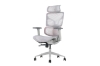 Picture of NEXEN Pro High Back Office Chair with Adjustable Headrest & Backrest, Lumbar Support, 3D Armrests and Seat Slider