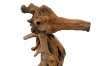 Picture of 659-002 Teak Wood Seahorse Sculpture (14.5"x27.5")