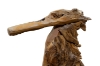 Picture of 659-002 Large Teak Wood Seahorse Sculpture (14.5"x5.5"x27.5")