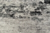 Picture of ELEMENT 90.5"x63"/118"x94.5" Brilliant Rug (Grey Marble Print)