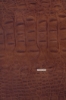Picture of [FLOOR MODEL CLEARANCE] NANCY Solid Teak Chair *Genuine Cowhide