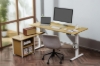 Picture of [FLOOR MODEL CLEARANCE] NEXUS 63" Electric Height-Adjustable Standing Desk With Side Cabinet Shelf & LED Display & USB Charging Port (Oak)