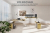 Picture of [FLOOR MODEL CLEARANCE] NEXUS 63" Electric Height-Adjustable Standing Desk With Side Cabinet Shelf & LED Display & USB Charging Port (Oak)