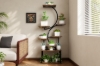 Picture of ARCORA Display Shelf/Plant Stand with LED Light