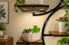 Picture of ARCORA Display Shelf/Plant Stand with LED Light